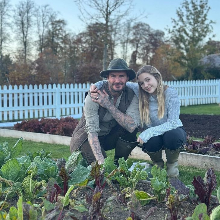 David Beckham gây sốt với sở thích làm vườn - Ảnh 1. David Beckham gây sốt với sở thích làm vườn - Ảnh 1.