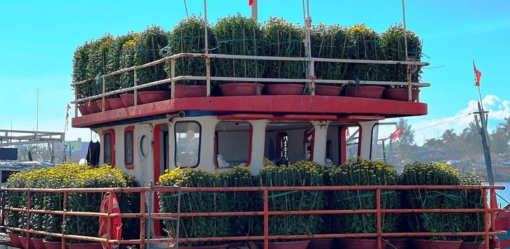 Chở Tết ra đảo Lý Sơn trước khi thời tiết chuyển xấu - Ảnh 1. Chở Tết ra đảo Lý Sơn trước khi thời tiết chuyển xấu - Ảnh 1.