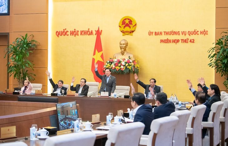 ubtvqh-1738845326239879149318 Chi tiết số lượng mới thẩm phán của tòa án nhân dân các cấp - Ảnh 1.